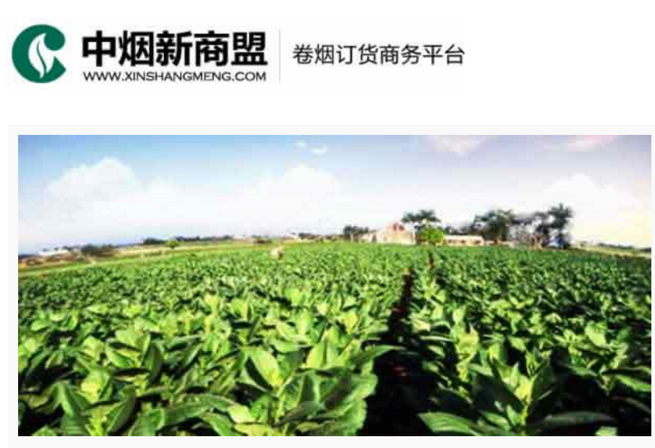 中烟新商盟卷烟订货商务平台-杏鑫彩票官网入口